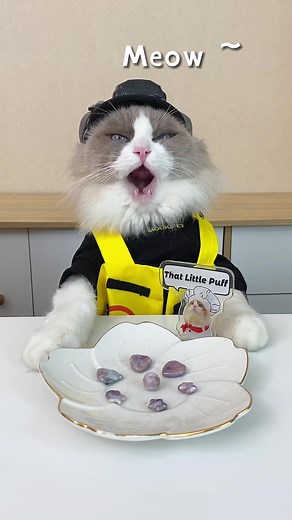 Lil PUFF's Journey to Success