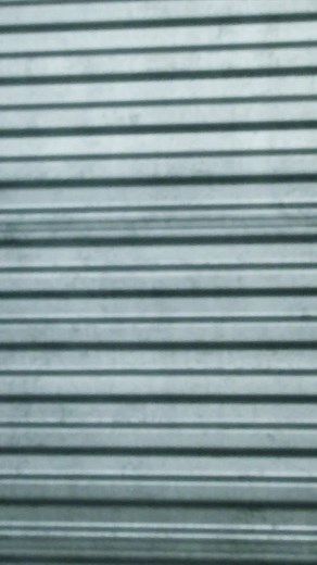 Hailey Bieber Elevates DKNY Fashion