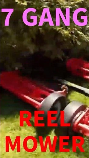 7 Gang reel mower in action #mowermaintenance