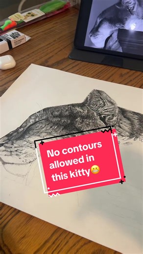 Bring Your Cat Drawing to Life with Micron Pens