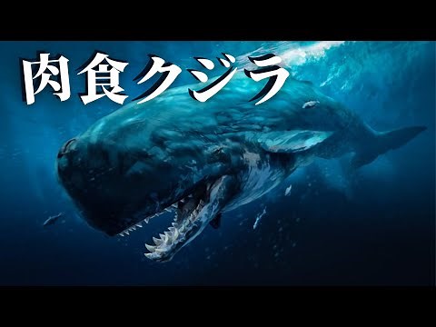 古代最恐の怪物クジラ リヴィアタン・メルビレイ