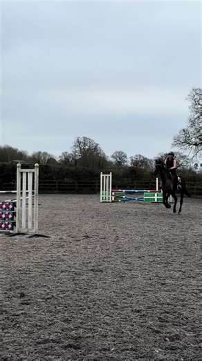 Duval jumping insane today just needing some encouragement over a couple of the @PHEEBS💗 #horses #fyp #equine #trend #duvalvandekoyeneborrez