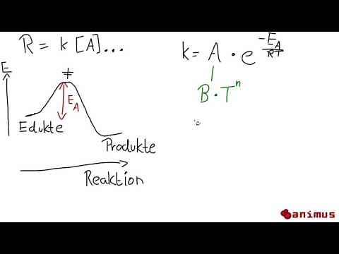 animus Tutorials: Temperaturabhängigkeit/Arrhenius-Funktion