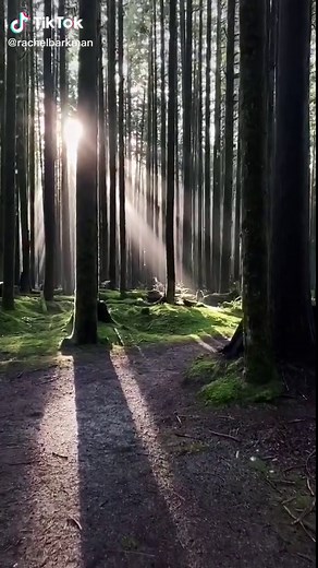 Discover Maple Ridge in British Columbia, Canada