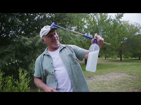 My Homemade Insecticide Recipe To Stop Scale And Other Pests On Citrus