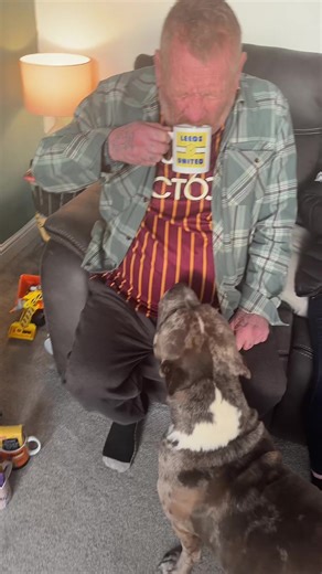 When ya dads a shitty city fan and he wants a cup of tea ha ha marching all together we are Leeds Leeds Leeds @johnbcfcsurtees1911🐓 fooook the chickens 🤣🤣🤣🤣