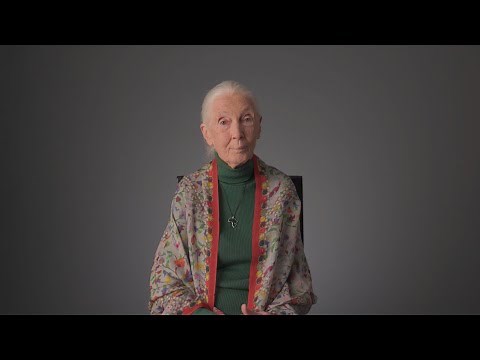 Living Legacy | Streaming Now | BBC StoryWorks