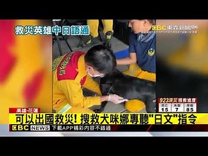 聽日文的搜救犬！「咪娜」花蓮救災 不熟地形陷泥沼‪@newsebc‬