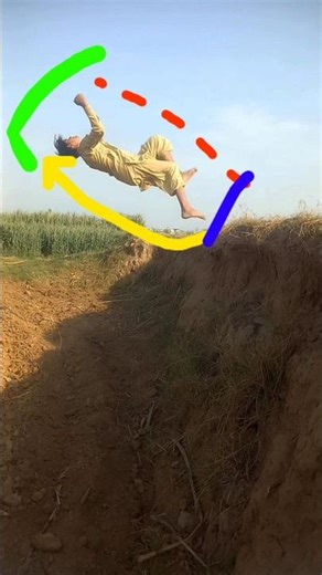 stable walk 🚶 back flip 🤸‍♂