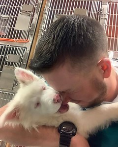 12M views · 116K reactions | People ask how I wake up my blind deaf dog... Aiden said, and then he showed us. This is truly an amazing story. | Rocky Kanaka | Facebook