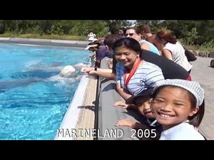 Marineland 2005