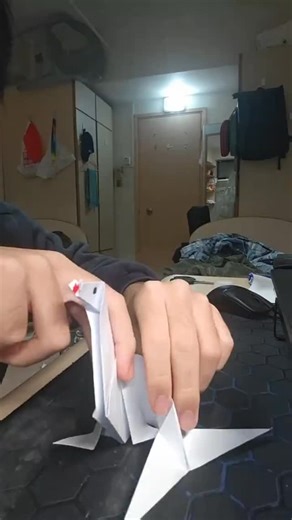 jin on Instagram: "Tail swipe tail swipe #sealion #seal #wildlife #cute #origami"