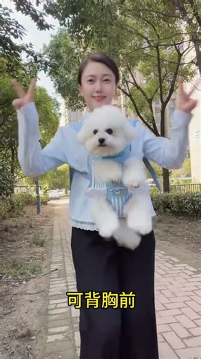 baby holder bag #babybasics #babyitems #babygadets #viralshorts #foryou #fyp #fypviral #viralvideos