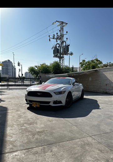 Exploring the American Muscle Car Experience