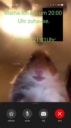 TikTok · DOLO_DOOLOO