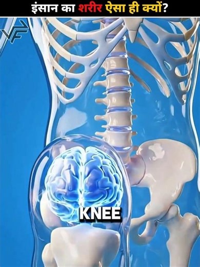 How were humans created? 🤔