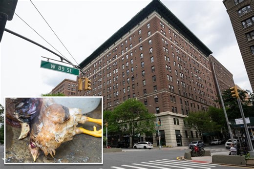 Dead chickens placed in odd position on ritzy NYC block — sparking ‘animal sacrifice’ claims