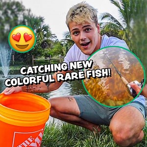 31K views · 1.1K reactions | These Colorful Midas Cichlids Are Now Home! | Paul Cuffaro | Facebook