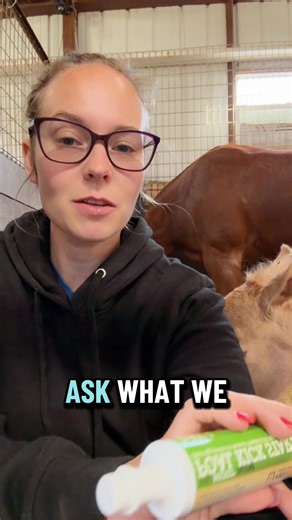 Foal probiotics— do you give them? Here is what we do. #foalingseason2026 #foals #foalling #reining #horses