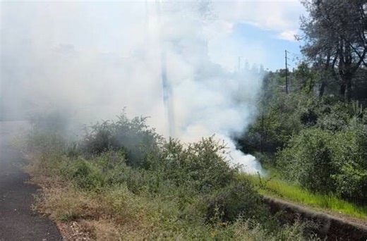 Squirrel blamed for chain of events that ignited spot fire