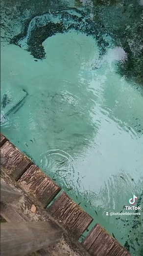 Primitive camping in Ocala National Forest. #Primitive #Florida #ocalanationalforest #camping