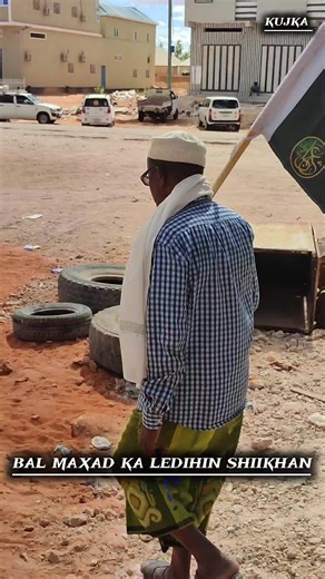 Understanding Bls and Fallow Techniques