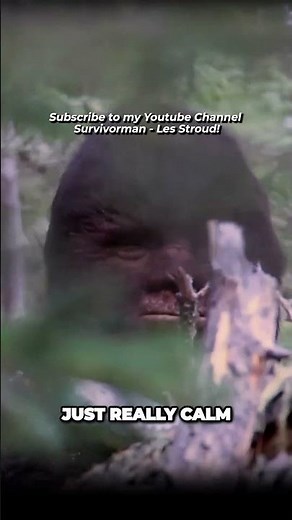 Survivorman | Todd Standing Talks About His BIGFOOT Encounter | Les Stroud