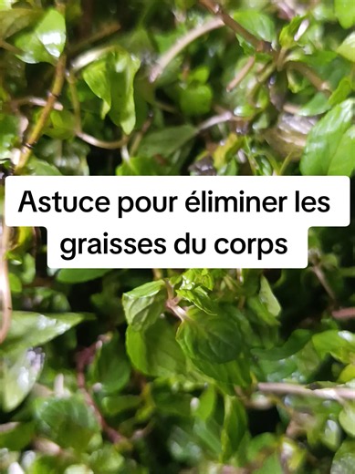 Finir avec le gras du corps #santé #bienetre #reequilibragealimentaire #perdredupoids #pourtoii