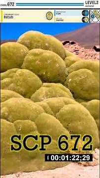 SCP 672 en Resumen - "Coral de Rocas"