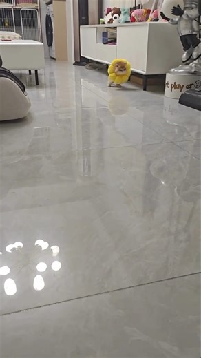 SoraVibe on Instagram: "压电瓷砖的工作原理日本利用压电瓷砖将人们的脚步转化为电能，这种技术通过压电材料将行走时产生的压力转化为电能，并已被应用于涩谷车站等人流密集区域，为LED灯、数字显示屏和传感器等设备供电。 压电瓷砖的工作原理是当人踩在上面时，瓷砖弯曲产生的机械应力会被压电材料转换为电能，通过汇集每一步产生的少量电荷，最终产生足够的电力来驱动各种设备。捕捉动能：: 瓷砖能够捕捉行走的动能，这种动能是由体重和动作对瓷砖产生的压力引起的。产生机械应力：: 行走时，压力会使瓷砖轻微弯曲，从而产生机械应力。能量转换：: 瓷砖内部的压电材料将这种机械应力转化为电能。应用实例涩谷车站： 在涩谷车站这样人流密集的地方，每天约有1050万步的能量被收集，为这个系统做贡献。供能设备： 收集到的电能可以驱动LED灯、数字显示屏和传感器等设备。优势可持续能源：: 这种方法利用日常的动作转化为可再生能源，减少对传统能源的依赖。支持城市基础设施：: 有助于支持可持续的城市基础设施建设。"