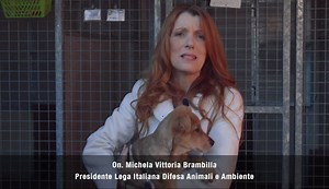 241K views · 2.8K reactions | Il carcere per chi ha ucciso Angelo a Sangineto, Pilu a Pescia, Moro a Bruno. E' quanto chiede l'on. Michela Vittoria Brambilla, presidente della Lega Italiana Difesa Animali e Ambiente. | LE.I.D.A.A. | Facebook