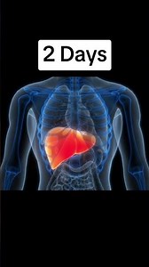 How Long Can You Live Without Your Organs 😳 #viral #fyp #viralvideo #viralshorts