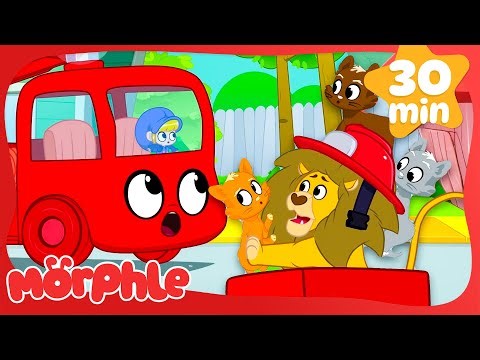 Feline Fireman 🦁🔥 | Morphle | Fun Cartoon Videos | Kids Animation