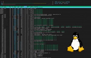 Como alterar servidor de DNS no Ubuntu 20.04 via terminal - Coffops
