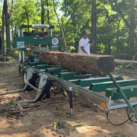 3 Year Old Oak Turned Into Lumber #sawmill #woodworking #timelapse