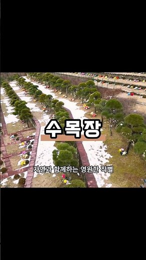 수목장 준비? 절차부터 비용까지