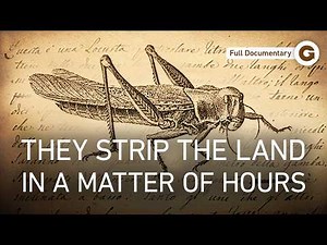 Locust Apocalypse: How One Rainfall Can Trigger Famine | Full Documentary