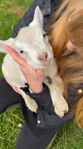 35K views · 3.4K reactions | Over 16 years I have worked extremely...