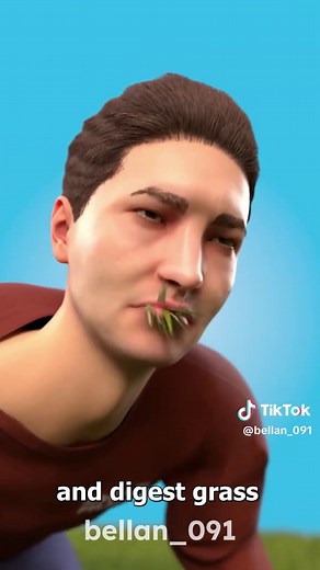 Exploring the Concept of Organ Replacement in Cows