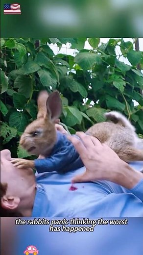 🎬🐰 Peter Rabbit | Explosive Garden Battle Gone Wrong! 💥🍅 #movie