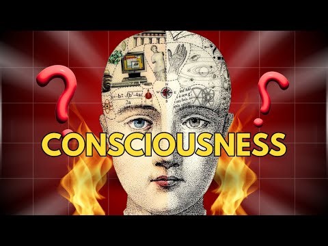 The Science of Frequency, Vibration, and Human Consciousness