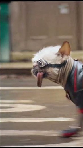 Wolverine vs. Deadpool: Dog Deadpool Joins the Battle! 🐾🔥