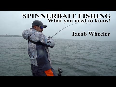The Best Spinnerbait Fishing Tips Ever - Ft. Jacob Wheeler