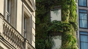 How to bring nature into your home and feel better