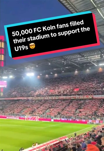 FC Koln U19 Fans Unite in UEFA Youth League Match