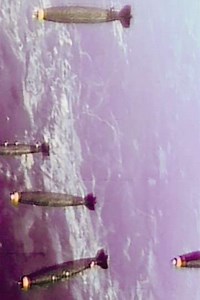 The Unfinished Conversation - Movie