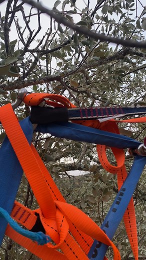 ⚠ Fail Friday ⚠ This friday we are going to look at a rare occurrence that every slackliner fears: , “A fallen tree” 🌳😱 Description of the incident from @sakolomo: We had a midline set up attached to some trees. The tree had been checked before the session and all was well. The sling was less than a meter high in the tree. In the middle of the session, after spending about 20 minutes bouncing, the tree collapsed, leaving me with a backup that was attached to a tree further back with slackline 