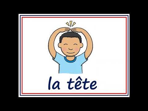 Tête, épaules, genoux et pieds