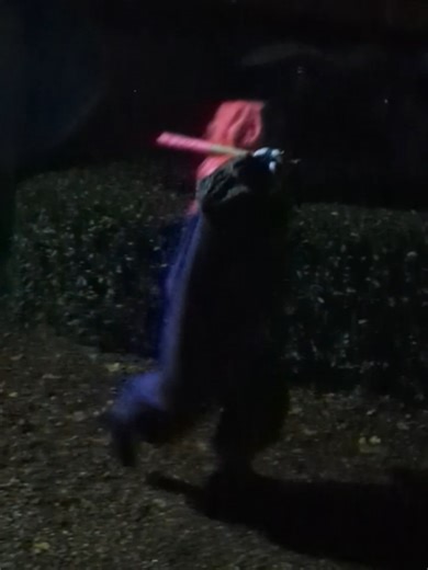 Roaming Actors Let Loose on the Public! 😱The roaming scare actors at Horror at Hinchingbrooke House took scares to the next level — the public were not ready for it and it was awesome! 👻 🎃 Like, comment and subscribe for more theme park content: https://www.youtube.com/@coaster_curious_george Instagram: instagram.com/coaster_curious_george TikTok: tiktok.com/@coaster_curious_george Youtube Audio Library: Tough Times - Jeremy Korpas #HorrorAtHinchingbrookeHouse #ScareActors #HauntedAttraction 