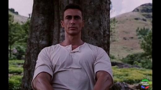 Contacto Sangriento Bloodsport 3 (Daniel Bernhardt -- Cine Internacional